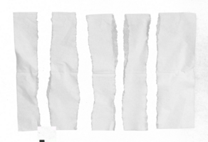 fazzoletto di carta carta su trasparente sfondo png file