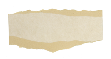 a sheet of paper torn to pieces on transparent background png file