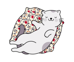 Happy cute Cat Sleeping On Pillow png