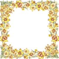 vattenfärg hand dragen vår trädgård full av narciss fyrkant ram. sommar illustration för scrapbooking. tecknad serie hand dragen bakgrund med blomma för barn design. perfekt för bröllop inbjudan. png