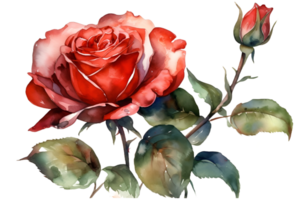 rood rozen waterverf clip art ai gegenereerd png