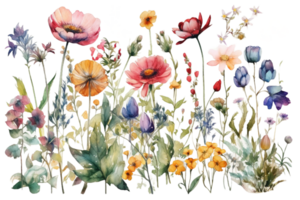 Wildblumen Blumen- Aquarell Clip Art ai generiert png