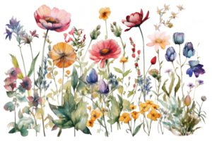 fleurs sauvages floral aquarelle clipart ai généré png