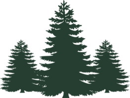 pine trees, Christmas trees, tree graphic, tree png, evergreen png