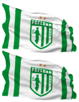 fc Flora, Flora Tallinn Flagge Wellen isoliert im einfach und stoßen Textur, mit transparent Hintergrund, 3d Rendern png