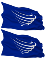 syndicat de Sud américain nations, incertain drapeau vagues isolé dans plaine et bosse texture, avec transparent arrière-plan, 3d le rendu png