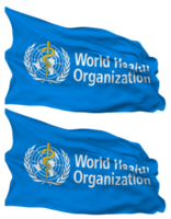 monde santé organisation, qui drapeau vagues isolé dans plaine et bosse texture, avec transparent arrière-plan, 3d le rendu png