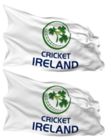 cricket Irlanda, ci bandiera onde isolato nel pianura e urto struttura, con trasparente sfondo, 3d interpretazione png