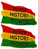 Black History Month Flag Waves Isolated in Plain and Bump Texture, with Transparent Background, 3D Rendering png