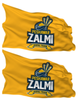 Peshawar Zalmi, PZ Flag Waves Isolated in Plain and Bump Texture, with Transparent Background, 3D Rendering png