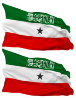 Somaliland Flag Waves Isolated in Plain and Bump Texture, with Transparent Background, 3D Rendering png