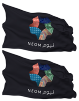 NEOM Flag Waves Isolated in Plain and Bump Texture, with Transparent Background, 3D Rendering png