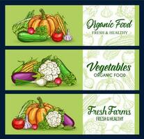 Vegetables, veggies sketch banners, farm food vector