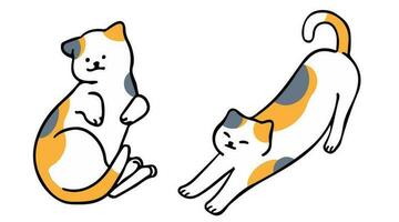 A cat in an outline style character design and a flat design style minimal vector illustration.