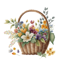 Spring Flower Basket Watercolor png