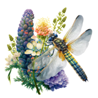 Spring Flower Dragonfly Watercolor png