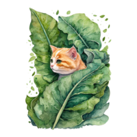 spinach cat watercolor png