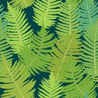 Seamless pattern with fern leaves. Bracken tropical print vector