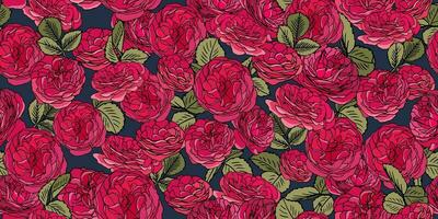 Seamless pattern with pink tea roses on dark blue background. Vintage linear print with garden roses vector