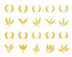 Spikes of wheat, rye, barley, laurel wreath cereal vector