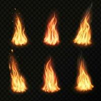 Fire, vector campfire, isolated torch flame set