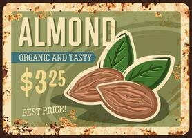 Almond nuts metal rusty plate, food poster vintage vector