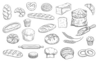 Bakery and pastry shop products vector sketch
