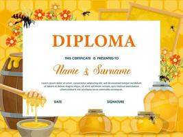 School diploma, certificate template with honey vector