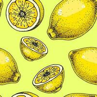 Lemon slice seamless pattern. Colorful hand drawn vector illustration in sketch style. Tropical exotic citrus fruit summer background