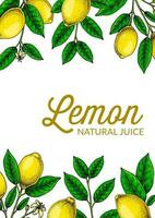 Vertical lemon background. Hand drawn colorful vector illustration in sketch stile. Design for packaging, invitation, greeting cards