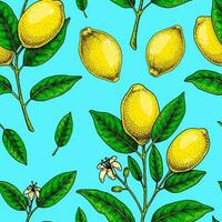 Lemon seamless pattern. Colorful hand drawn vector illustration in sketch style. Tropical exotic citrus fruit summer background