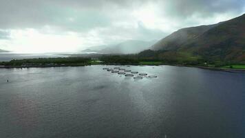 aquaculture poisson ferme utilisé à intensivement grandir nourriture pour le marché video