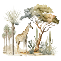 Safari Africa Animals Watercolor png