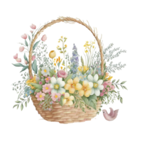 Spring Flower Basket Watercolor png