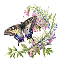 Spring Flower Butterfly Watercolor png