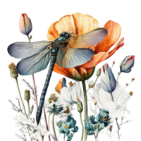 Spring Flower Dragonfly Watercolor png