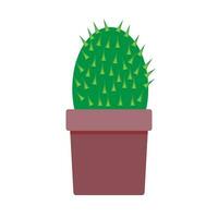 planta cactus aislado vector