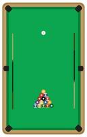 Pool table with balls and cue vector