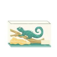 Lizard reptile in terrarium. Vector cartoon illustration.