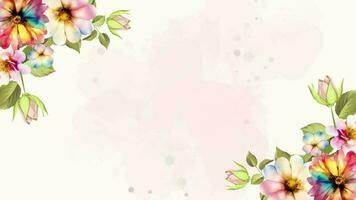 Watercolor beautiful floral bloom animation of colorful flowers banner. Animated 4K blooming flowers background frame loop. video