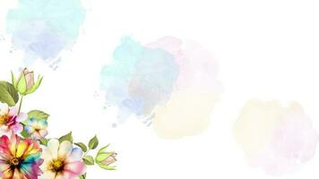Watercolor beautiful floral bloom animation of colorful flowers banner. Animated 4K blooming flowers background frame loop. video