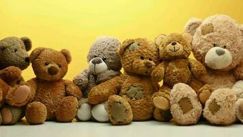 Brown teddy bears sit in a row, camera movement to the right video