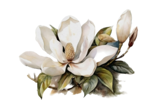 flor com folha aguarela ai gerar png