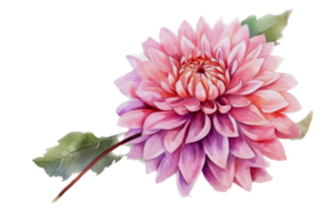 mooi bloem met blad waterverf ai genereren png