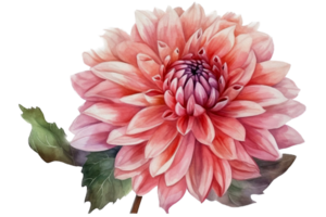 schön Blume mit Blatt Aquarell ai generieren png