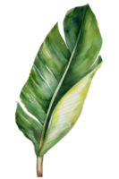 tropisk blad vattenfärg ai generera png