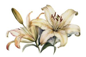 schön Blume mit Blatt Aquarell ai generieren png