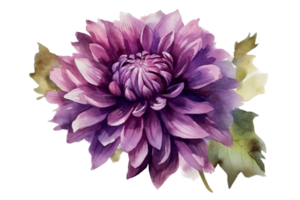 Beautiful flower with leaf watercolor AI Generate png