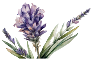 bloem met blad waterverf ai genereren png