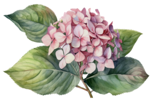 mooi bloem met blad waterverf ai genereren png